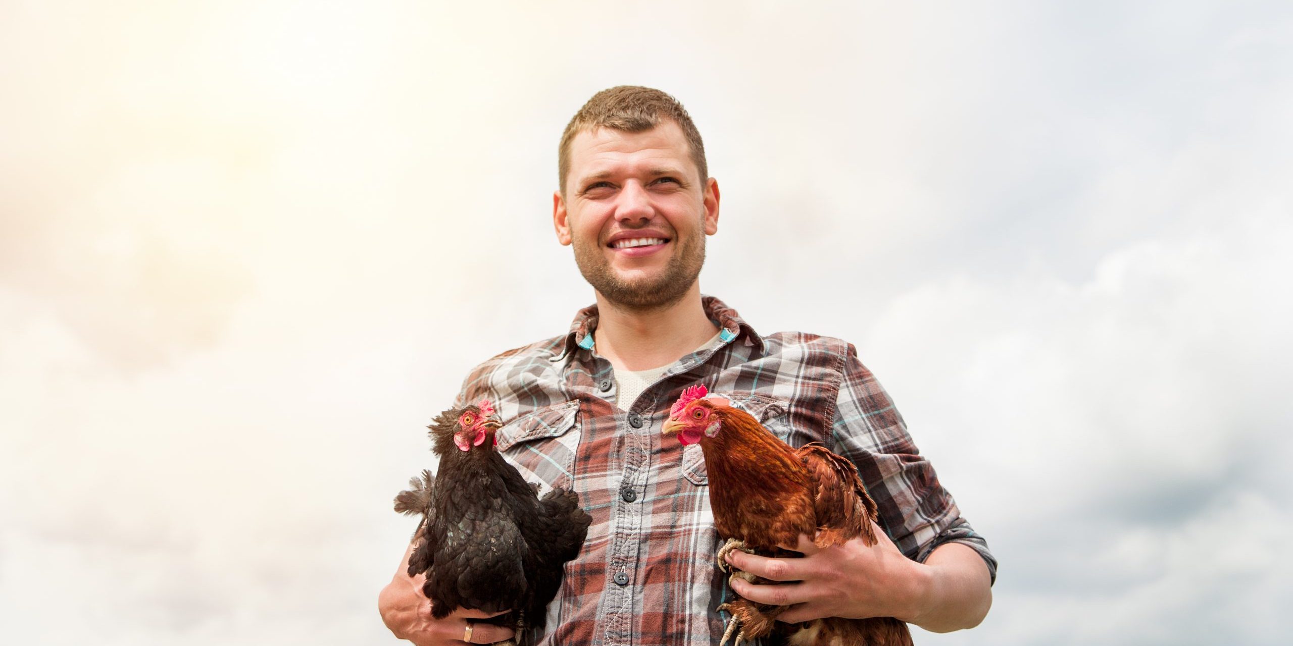 A,Young,Male,Farmer,With,A,Chicken,In,His,Hands